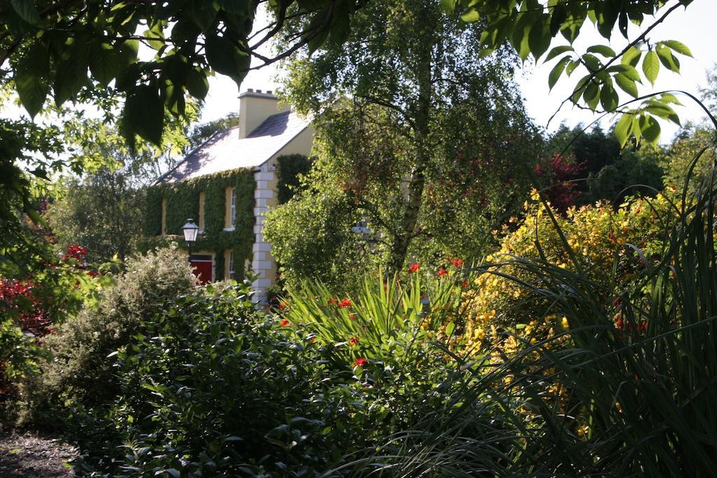 Friars Quarter House Bed & Breakfast Ballinrobe Ngoại thất bức ảnh
