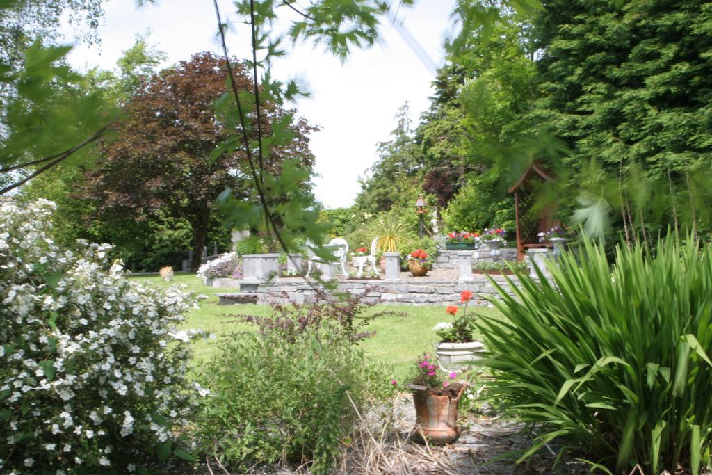 Friars Quarter House Bed & Breakfast Ballinrobe Ngoại thất bức ảnh